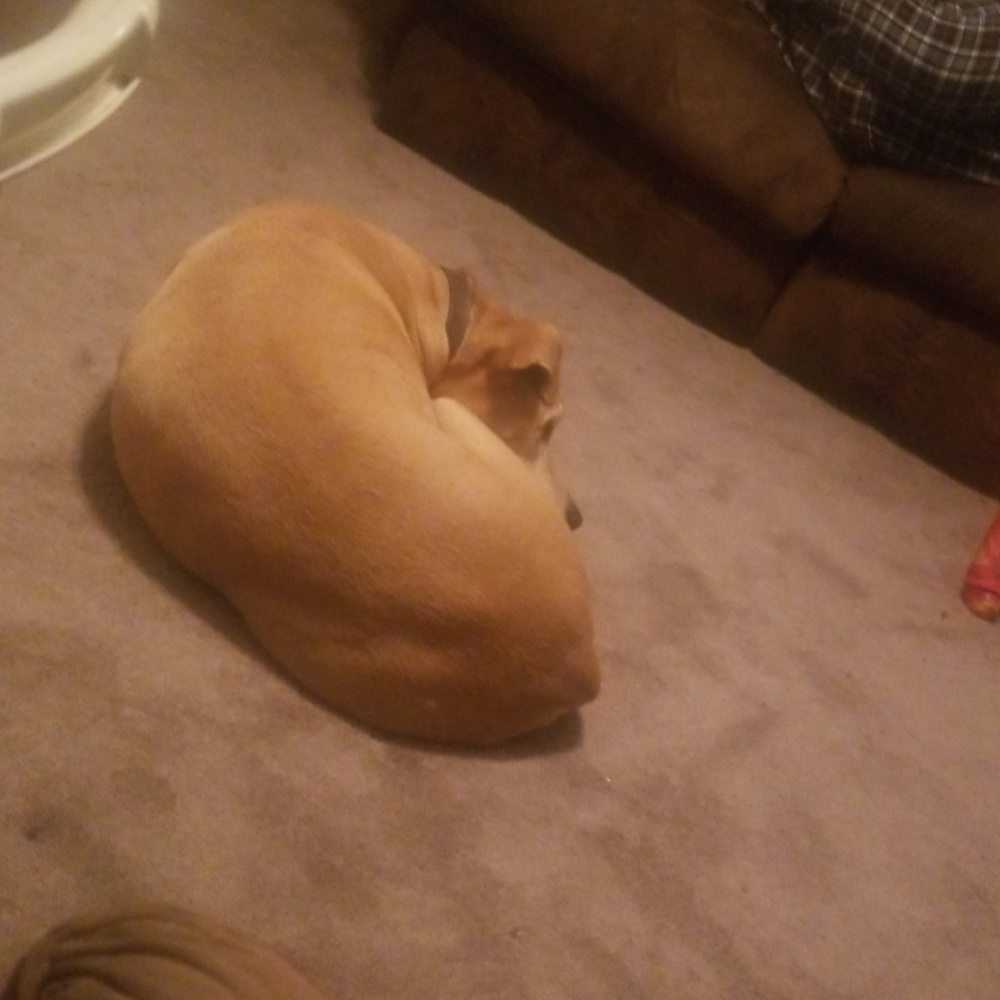 Meet your Posher, Dawn